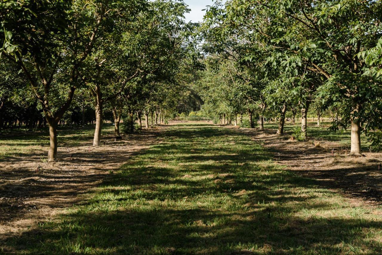 Walnut Tree Cottages Whorouly Zewnętrze zdjęcie